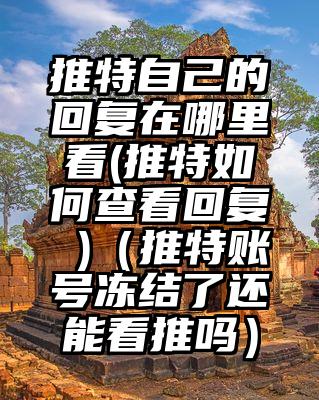 推特自己的回复在哪里看(推特如何查看回复 )(推特账号冻结了还能看推吗)