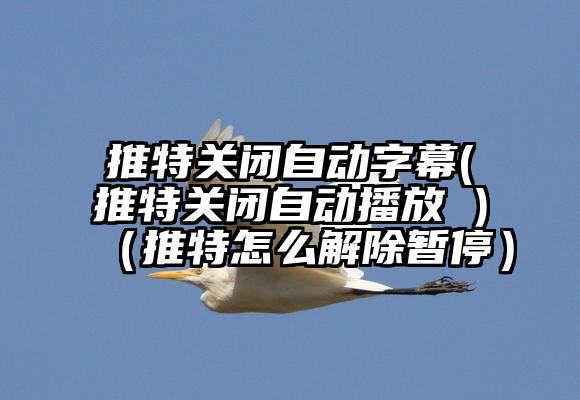 推特关闭自动字幕(推特关闭自动播放 )（推特怎么解除暂停）