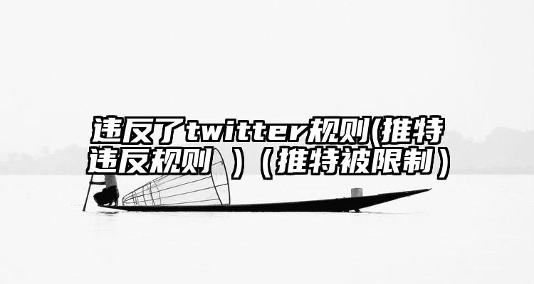 违反了twitter规则(推特违反规则 )（推特被限制）