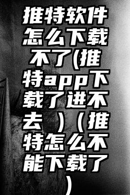 推特软件怎么下载不了(推特app下载了进不去 )（推特怎么不能下载了）