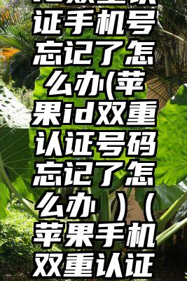 美国苹果id双重认证手机号忘记了怎么办(苹果id双重认证号码忘记了怎么办 )（苹果手机双重认证手机号不用了）