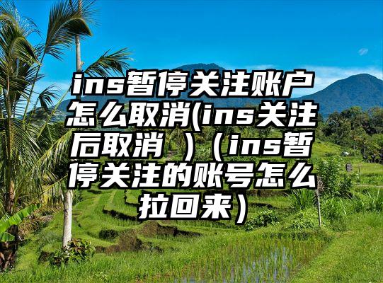 ins暂停关注账户怎么取消(ins关注后取消 )（ins暂停关注的账号怎么拉回来）