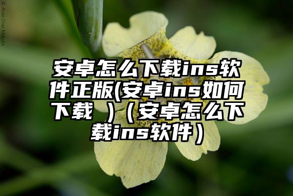 安卓怎么下载ins软件正版(安卓ins如何下载 )（安卓怎么下载ins软件）