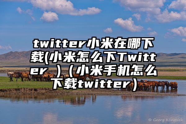 twitter小米在哪下载(小米怎么下Twitter )（小米手机怎么下载twitter）