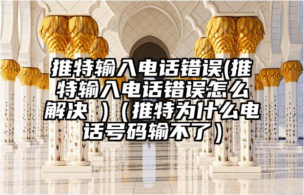推特输入电话错误(推特输入电话错误怎么解决 )（推特为什么电话号码输不了）