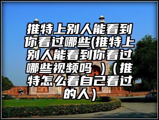 推特上别人能看到你看过哪些(推特上别人能看到你看过哪些视频吗 )（推特怎么看自己看过的人）