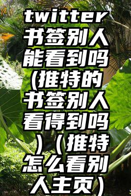 twitter书签别人能看到吗(推特的书签别人看得到吗 )（推特怎么看别人主页）