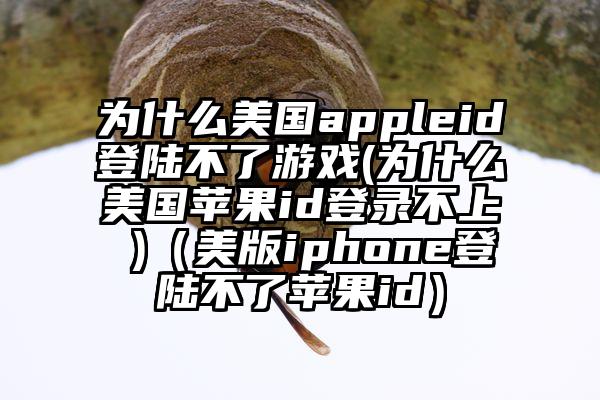 为什么美国appleid登陆不了游戏(为什么美国苹果id登录不上 )（美版iphone登陆不了苹果id）