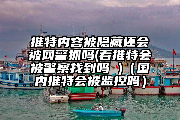 推特内容被隐藏还会被网警抓吗(看推特会被警察找到吗 )（国内推特会被监控吗）