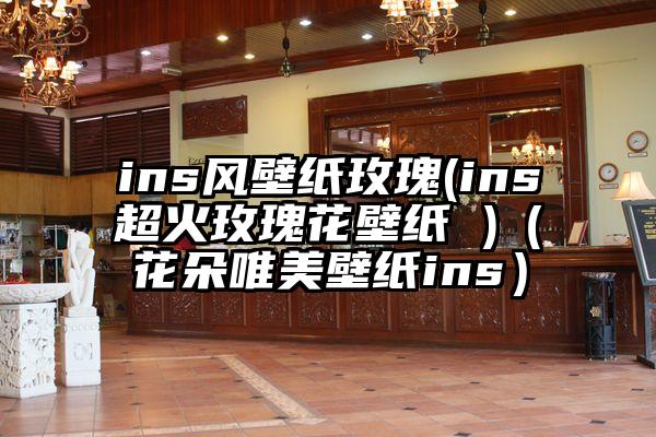 ins风壁纸玫瑰(ins超火玫瑰花壁纸 )（花朵唯美壁纸ins）