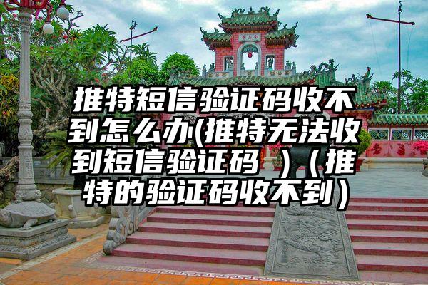 推特短信验证码收不到怎么办(推特无法收到短信验证码 )（推特的验证码收不到）