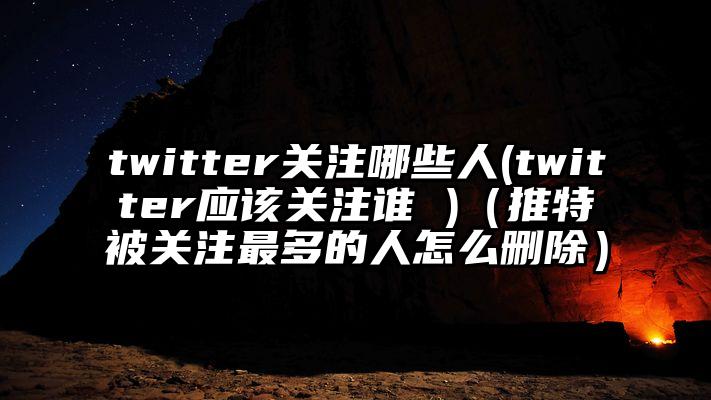 twitter关注哪些人(twitter应该关注谁 )（推特被关注最多的人怎么删除）