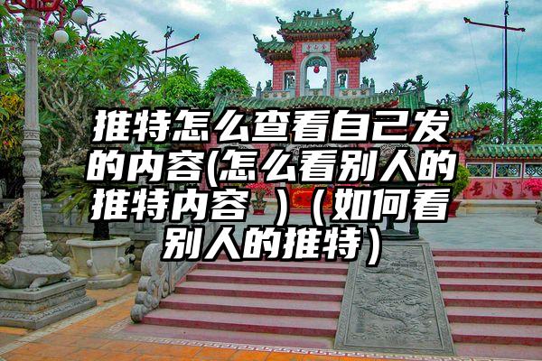 推特怎么查看自己发的内容(怎么看别人的推特内容 )（如何看别人的推特）