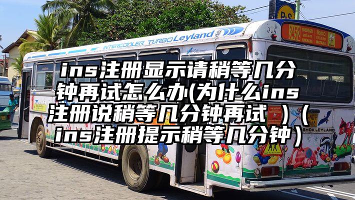 ins注册显示请稍等几分钟再试怎么办(为什么ins注册说稍等几分钟再试 )（ins注册提示稍等几分钟）