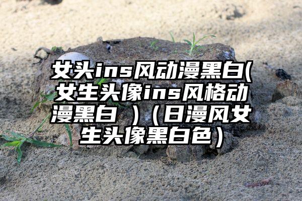 女头ins风动漫黑白(女生头像ins风格动漫黑白 )（日漫风女生头像黑白色）