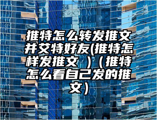 推特怎么转发推文并艾特好友(推特怎样发推文 )（推特怎么看自己发的推文）