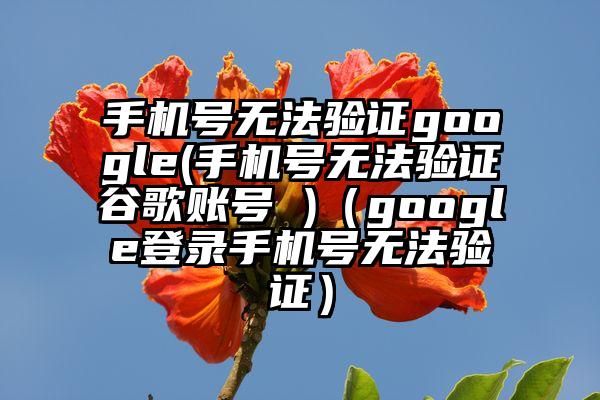 手机号无法验证google(手机号无法验证谷歌账号 )(google登录手机号无法验证)