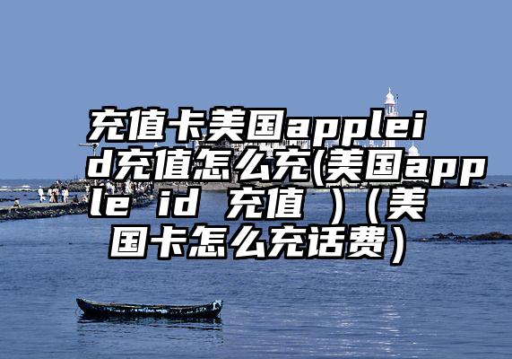 充值卡美国appleid充值怎么充(美国apple id 充值 )（美国卡怎么充话费）