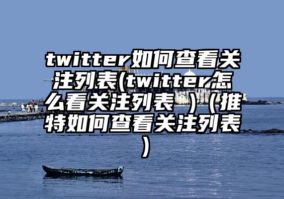 twitter如何查看关注列表(twitter怎么看关注列表 )（推特如何查看关注列表）