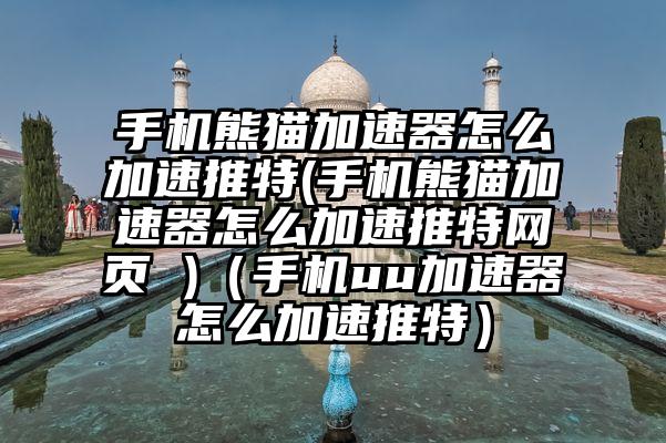 手机熊猫加速器怎么加速推特(手机熊猫加速器怎么加速推特网页 )（手机uu加速器怎么加速推特）