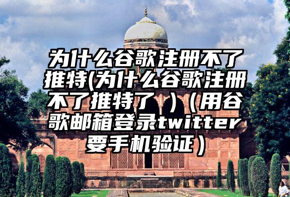 为什么谷歌注册不了推特(为什么谷歌注册不了推特了 )（用谷歌邮箱登录twitter要手机验证）
