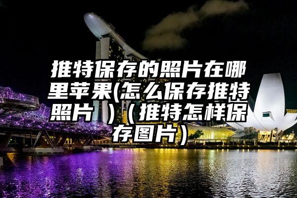 推特保存的照片在哪里苹果(怎么保存推特照片 )（推特怎样保存图片）