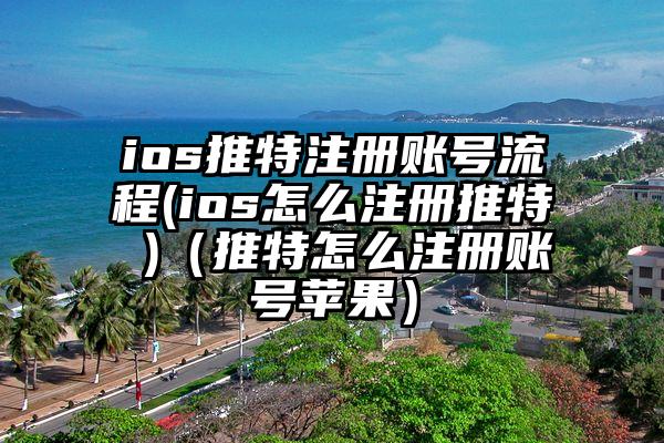 ios推特注册账号流程(ios怎么注册推特 )（推特怎么注册账号苹果）