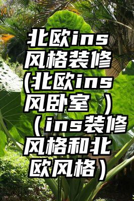 北欧ins风格装修(北欧ins风卧室 )（ins装修风格和北欧风格）