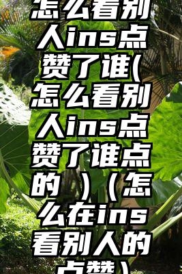 怎么看别人ins点赞了谁(怎么看别人ins点赞了谁点的 )（怎么在ins看别人的点赞）