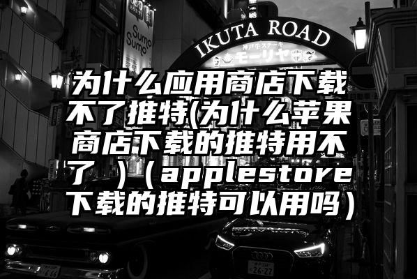 为什么应用商店下载不了推特(为什么苹果商店下载的推特用不了 )（applestore下载的推特可以用吗）