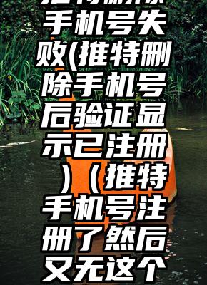 推特删除手机号失败(推特删除手机号后验证显示已注册 )（推特手机号注册了然后又无这个账号）