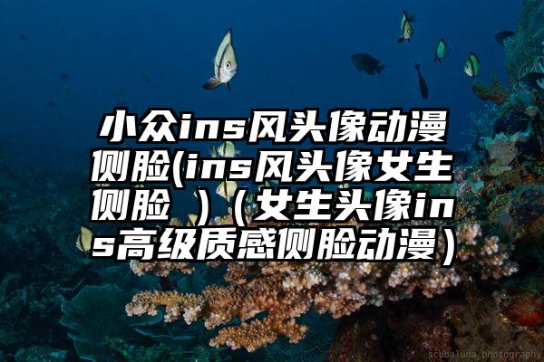 小众ins风头像动漫侧脸(ins风头像女生侧脸 )（女生头像ins高级质感侧脸动漫）