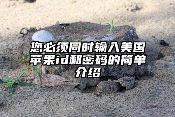 您必须同时输入美国苹果id和密码的简单介绍