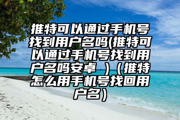推特可以通过手机号找到用户名吗(推特可以通过手机号找到用户名吗安卓 )（推特怎么用手机号找回用户名）