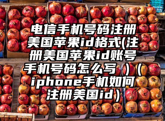 电信手机号码注册美国苹果id格式(注册美国苹果id账号手机号码怎么写 )（iphone手机如何注册美国id）