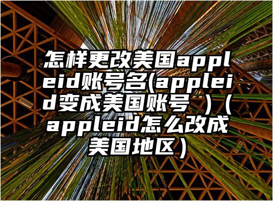 怎样更改美国appleid账号名(appleid变成美国账号 )（appleid怎么改成美国地区）