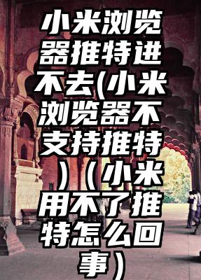小米浏览器推特进不去(小米浏览器不支持推特 )（小米用不了推特怎么回事）