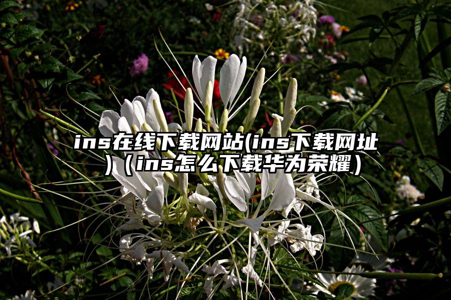ins在线下载网站(ins下载网址 )（ins怎么下载华为荣耀）