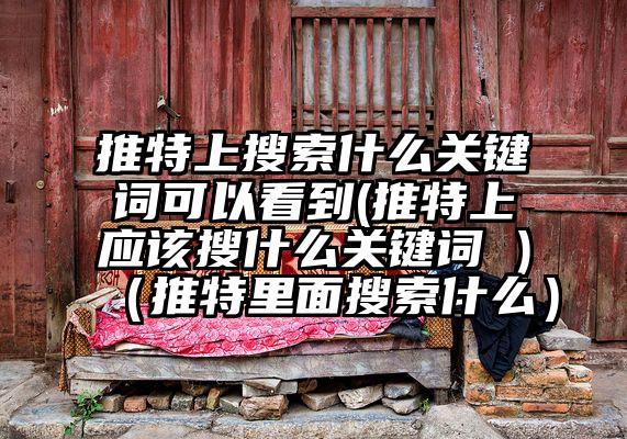 推特上搜索什么关键词可以看到(推特上应该搜什么关键词 )（推特里面搜索什么）