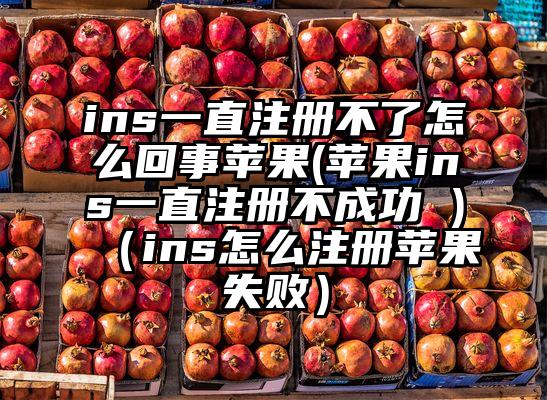 ins一直注册不了怎么回事苹果(苹果ins一直注册不成功 )（ins怎么注册苹果失败）