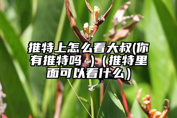 推特上怎么看大叔(你有推特吗 )（推特里面可以看什么）