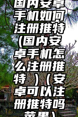 国内安卓手机如何注册推特(国内安卓手机怎么注册推特 )（安卓可以注册推特吗苹果）