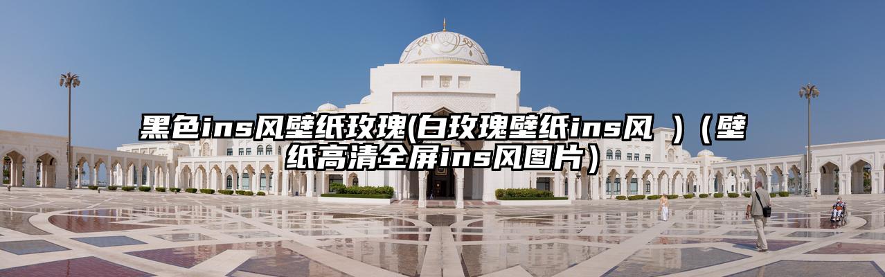 黑色ins风壁纸玫瑰(白玫瑰壁纸ins风 )（壁纸高清全屏ins风图片）