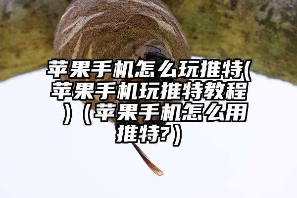 苹果手机怎么玩推特(苹果手机玩推特教程 )（苹果手机怎么用推特?）