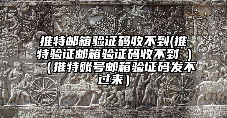 推特邮箱验证码收不到(推特验证邮箱验证码收不到 )（推特账号邮箱验证码发不过来）