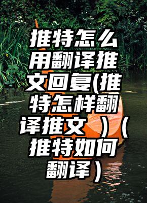 推特怎么用翻译推文回复(推特怎样翻译推文 )（推特如何翻译）