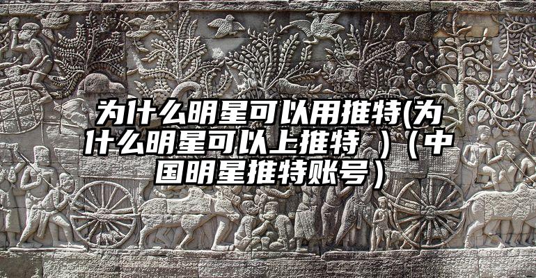 为什么明星可以用推特(为什么明星可以上推特 )(中国明星推特账号)