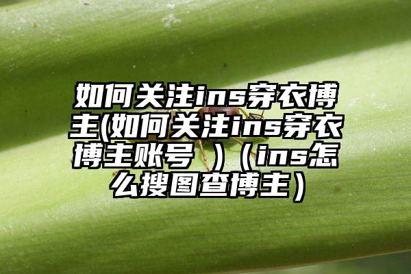 如何关注ins穿衣博主(如何关注ins穿衣博主账号 )（ins怎么搜图查博主）