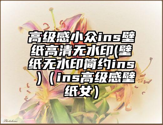高级感小众ins壁纸高清无水印(壁纸无水印简约ins )（ins高级感壁纸女）