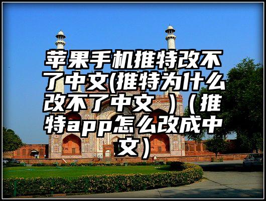 苹果手机推特改不了中文(推特为什么改不了中文 )（推特app怎么改成中文）